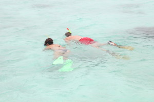 snorkel 3