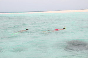 snorkel 5
