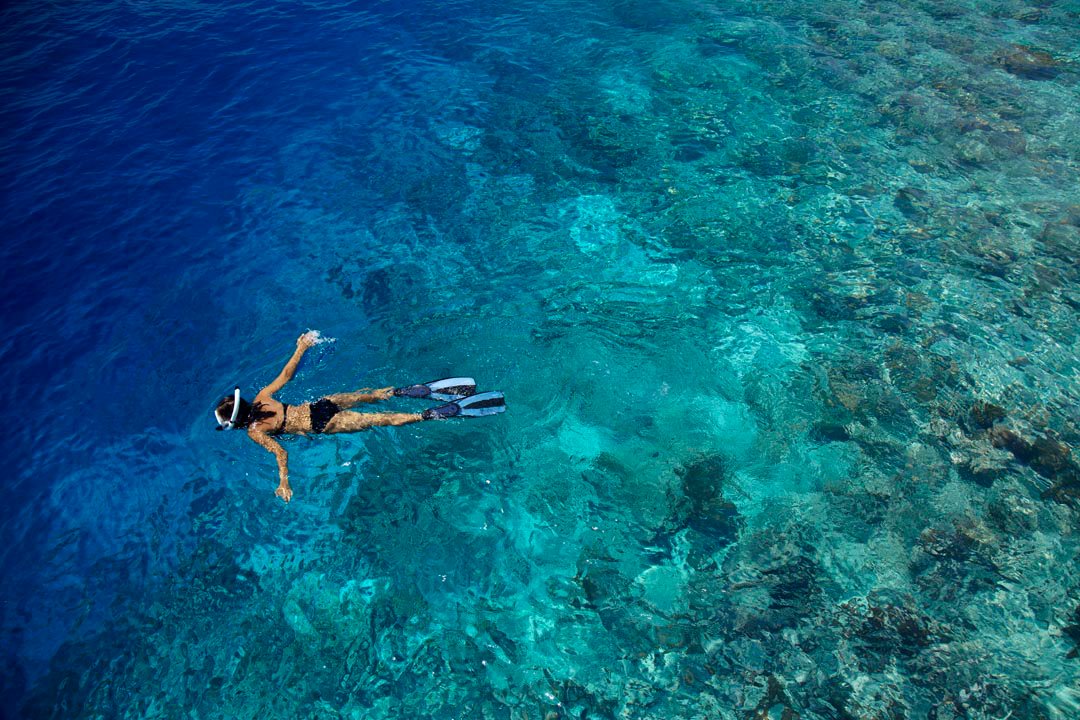 Snorkeling Trips